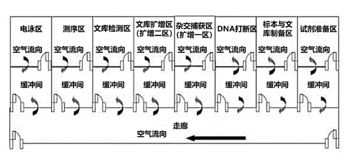 腫瘤NGS診斷實(shí)驗(yàn)室平臺主要區(qū)域及流轉(zhuǎn)示意圖