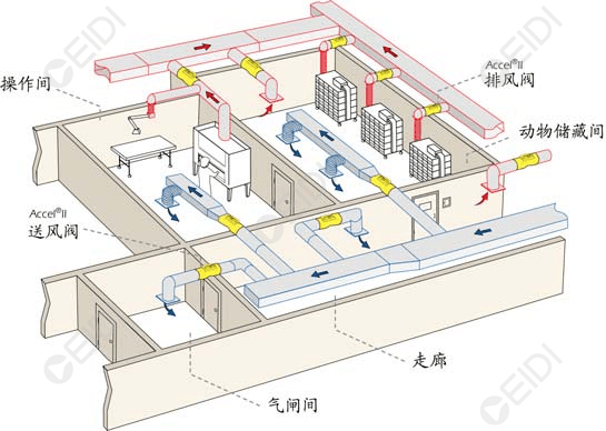 實驗動物房凈化設計：動物實驗室空調系統設計  CEIDI西遞