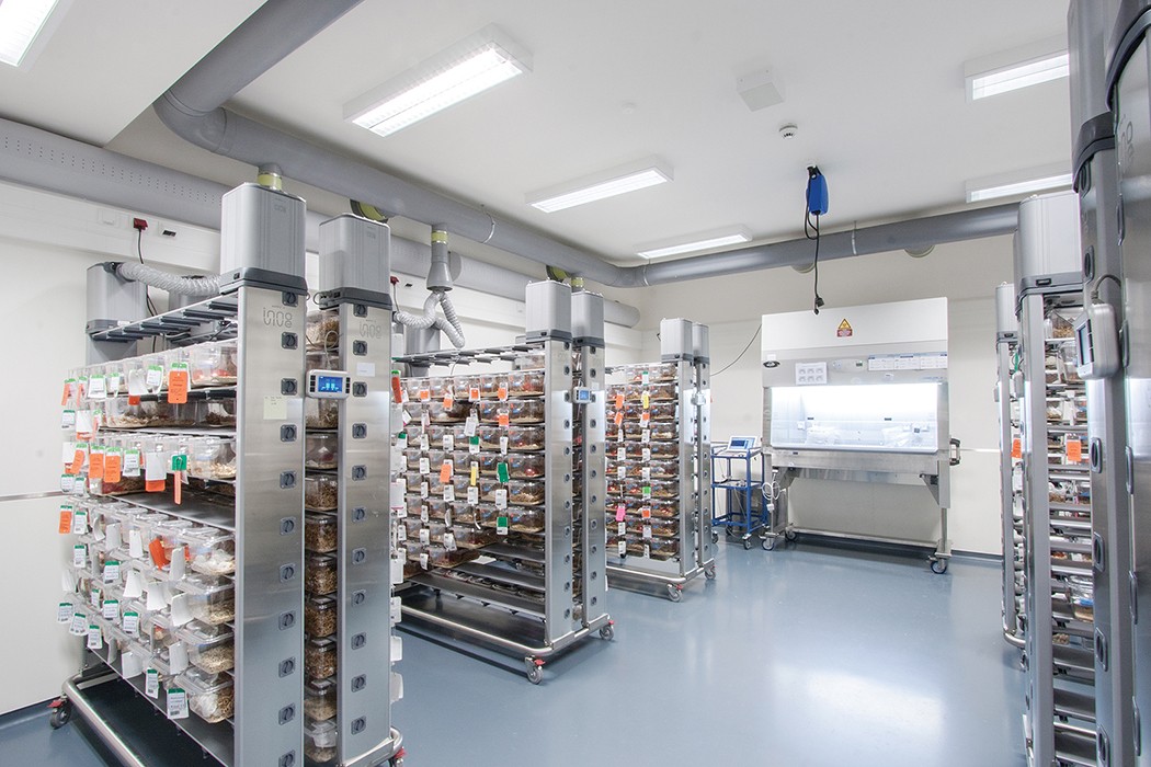 一次性投入較大的實驗平臺：實驗動物中心建設(shè)要點 CEIDI西遞